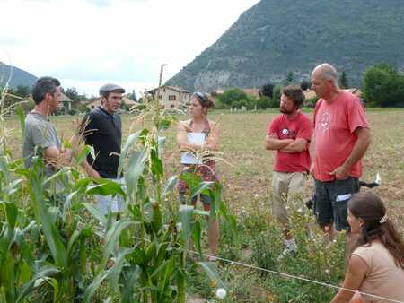 Discussions entre agriculteurs