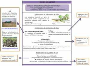 fiche synthétique stratégie d'adaptation