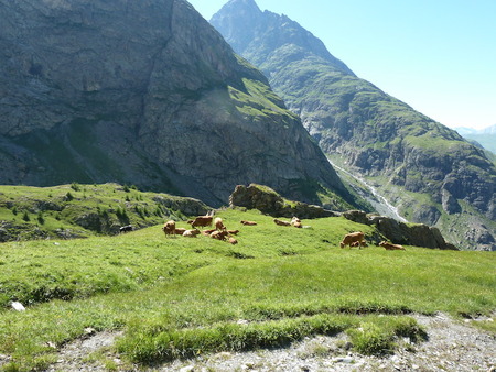 agroecologie-paysanne-1