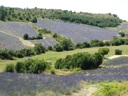 agroecologie-paysanne-2