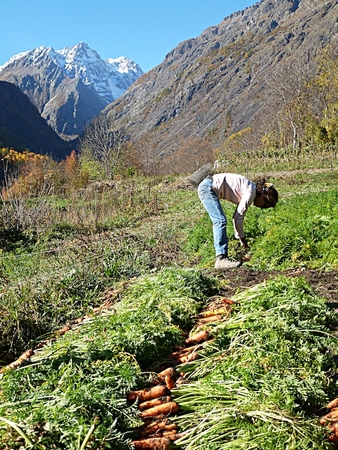 agroecologie-paysanne-5