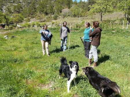 agroecologie-paysanne-8